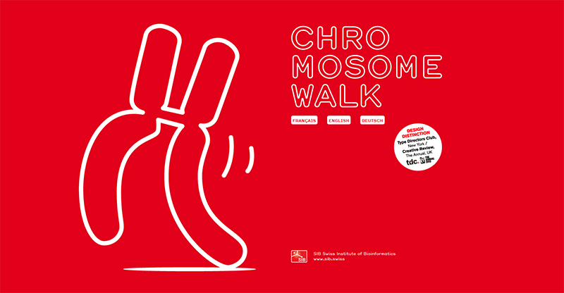 a chromosome animation from the website chromosomewalk.ch