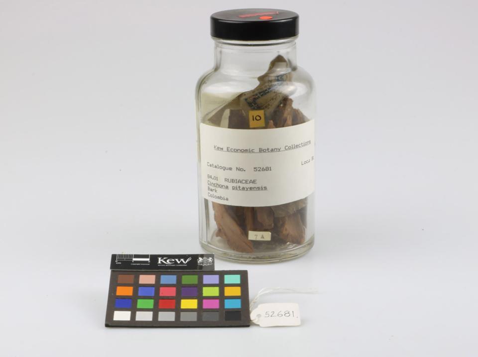 a jar with a sample of leaves and a color meter