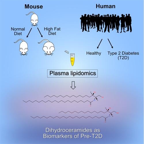a diagram showing the different stages of psoriasis.